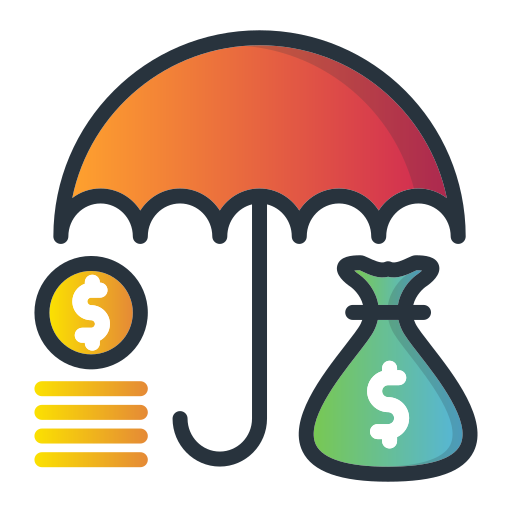 Budget Assurance & Risk Reviews
